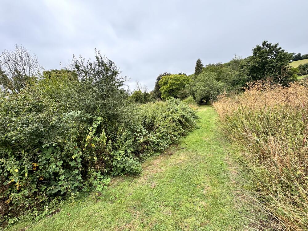 Plot 1 property image 6