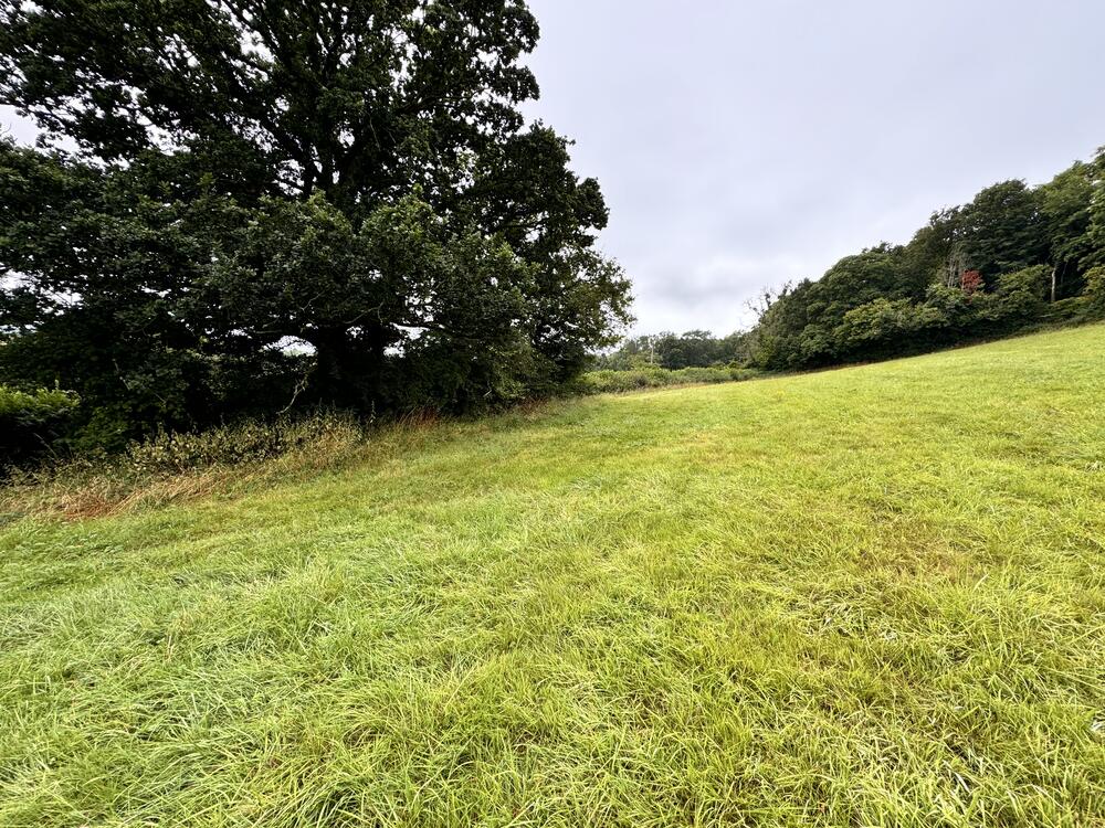 Plot 2 property image 6