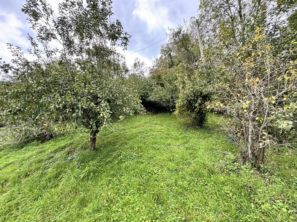Kelston View property image 15
