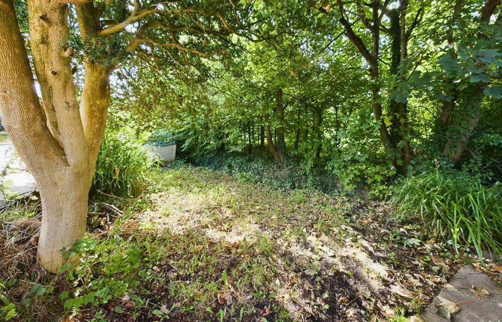 5 Cholwell Cottages property image 8