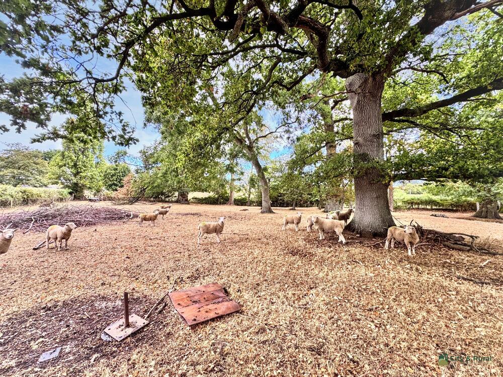 Brymore Lodge property image 11