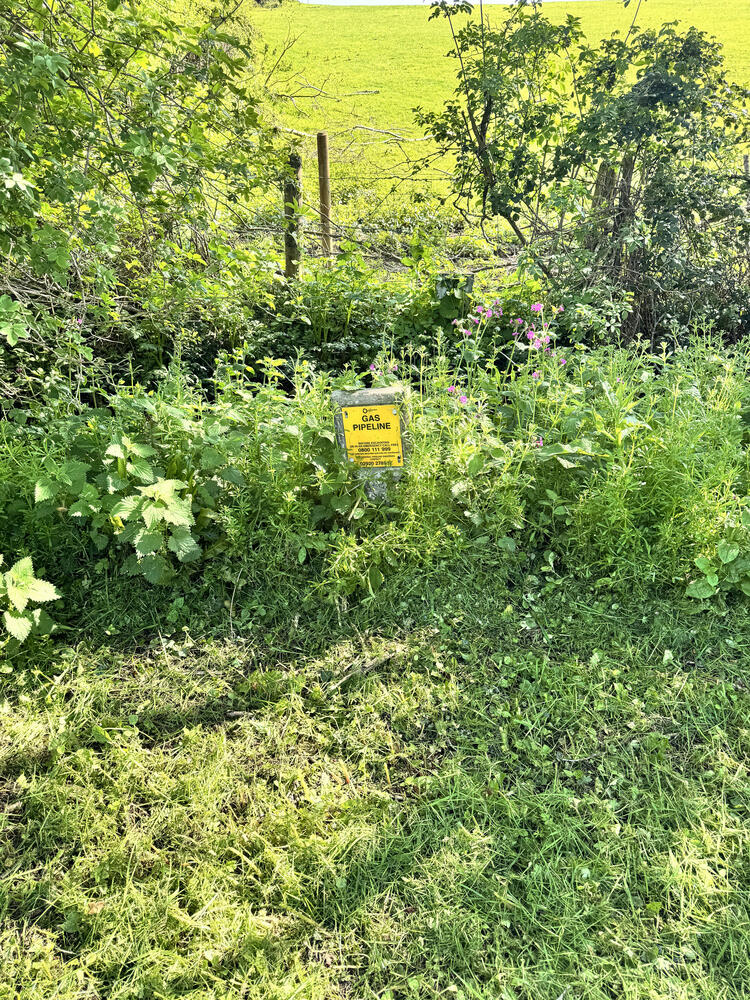Riverside property image 10