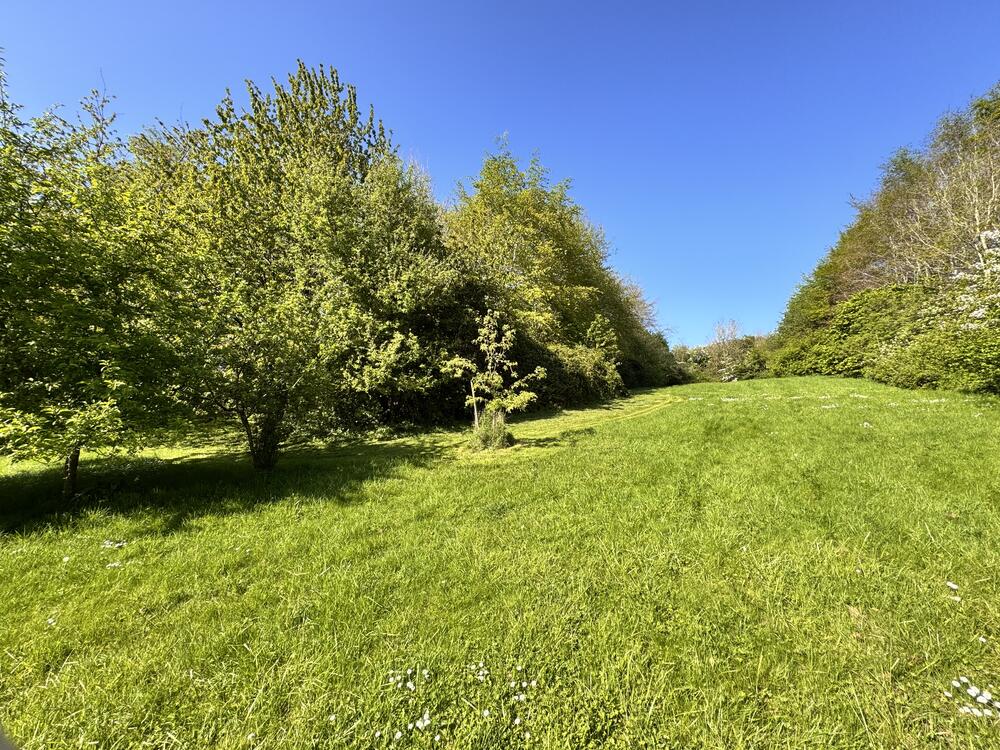 Riverside property image 11