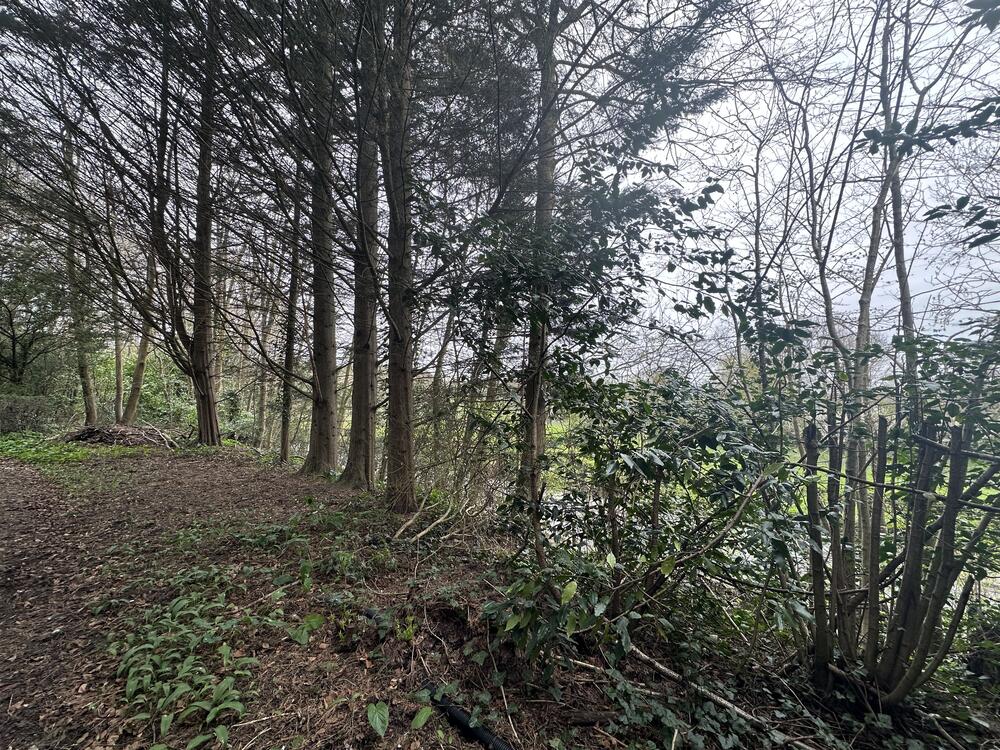 Land at property image 8