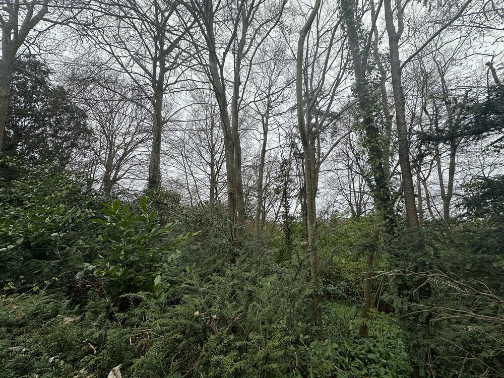 Land at property image 5