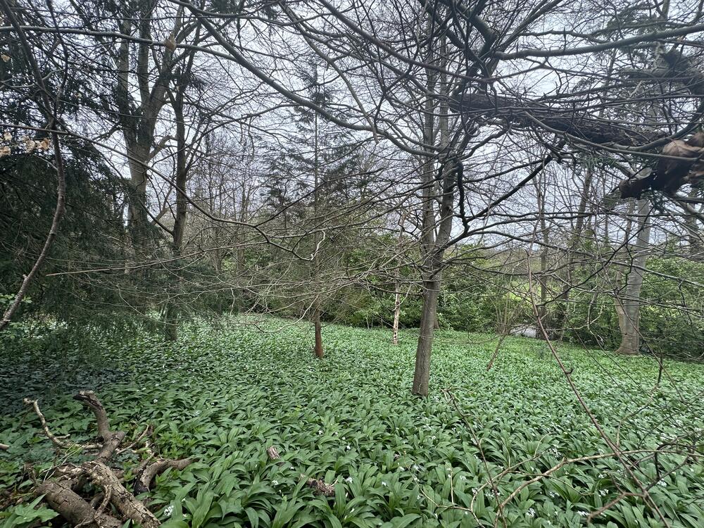 Land at property image 4