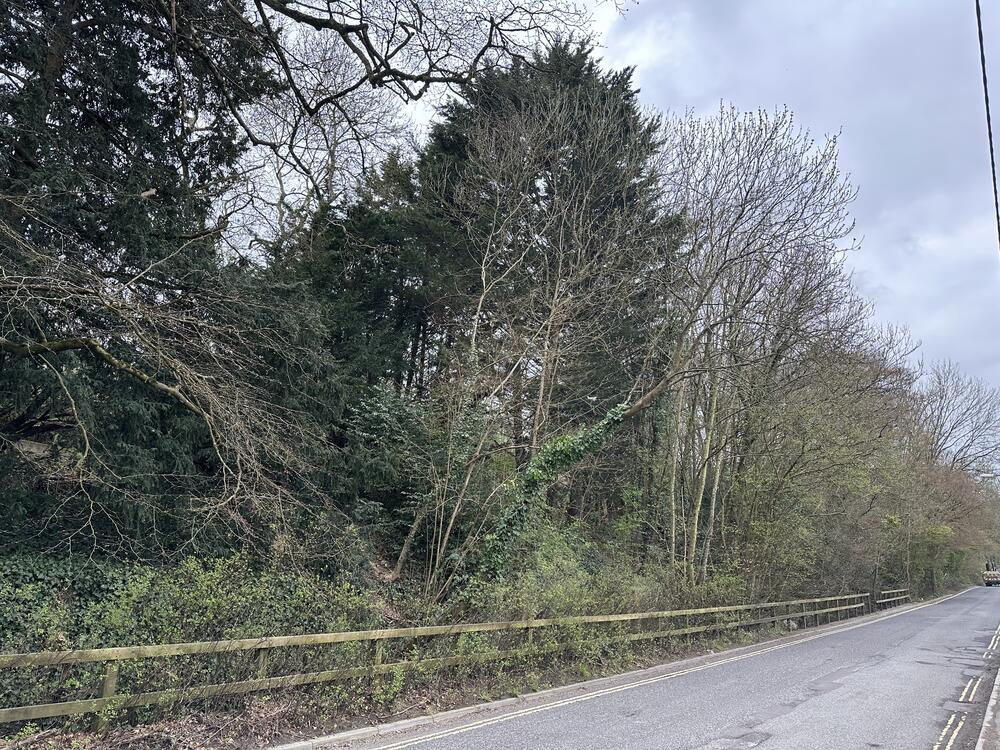 Land at property image 6