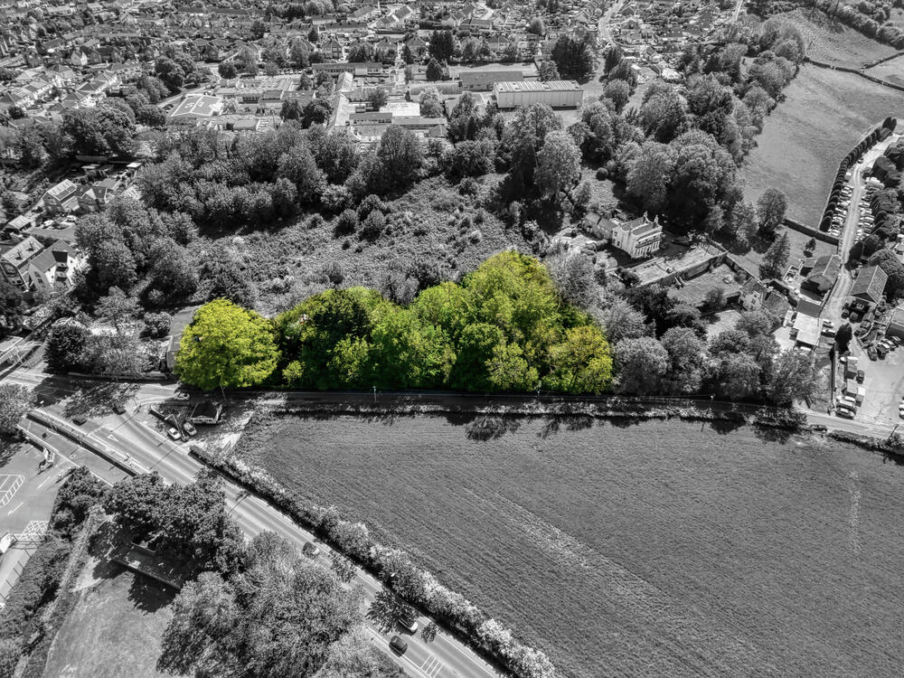 Woodland at property image 2