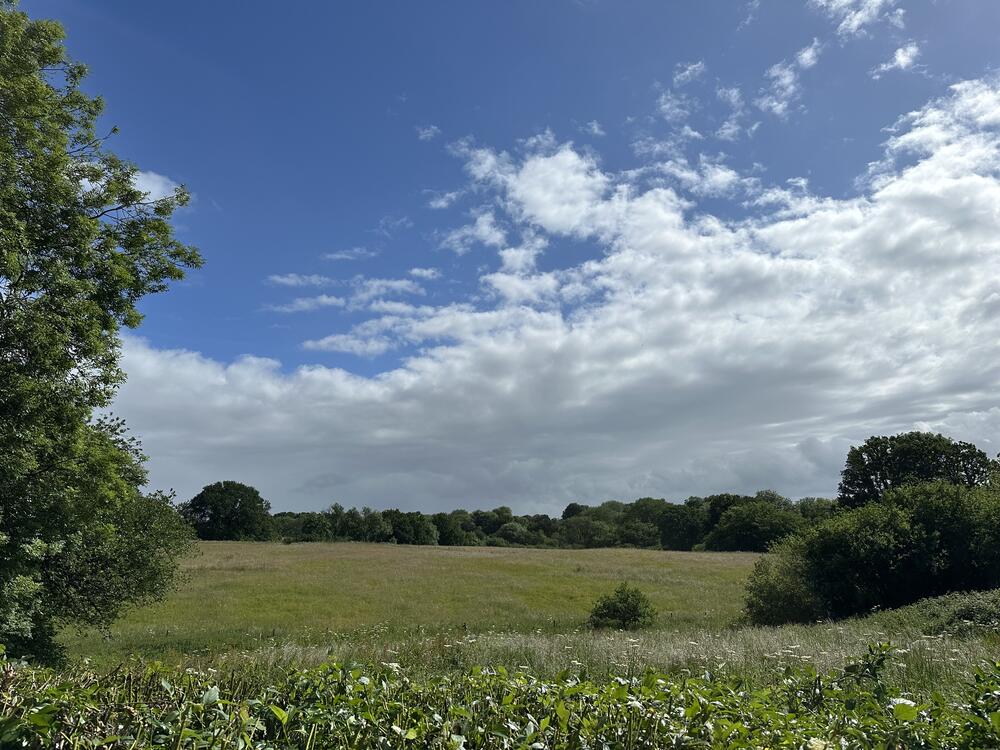 Concorde property image 14