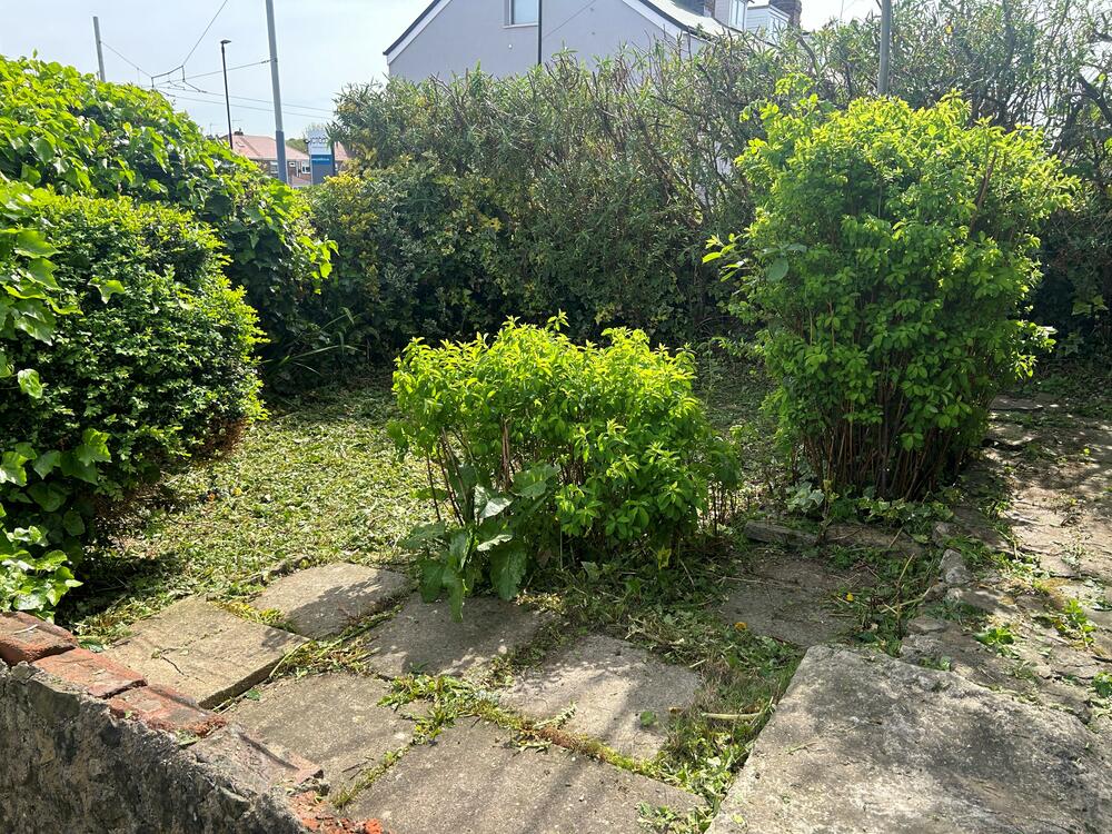 459 Middlewood Road, Sheffield Property Image 8