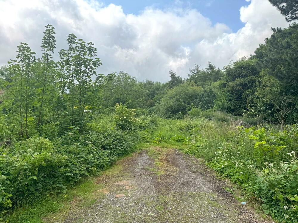 Land at Grange Close, Teversal, Sutton-in-Ashfield Property Image 5