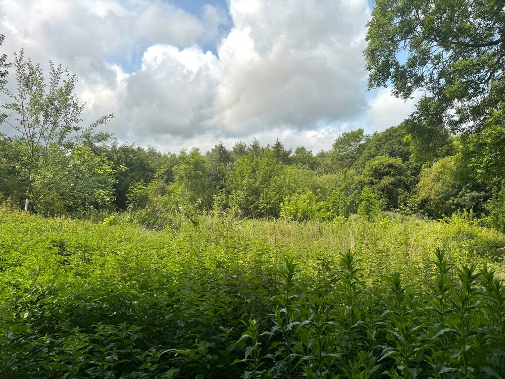 Land at Grange Close, Teversal, Sutton-in-Ashfield Property Image 6