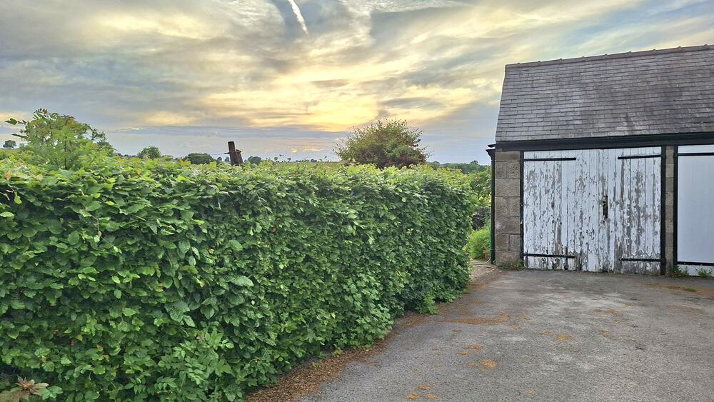 Thorntree Villa, Alport Lane, Bakewell Property Image 16